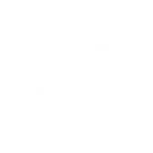 ef99b31